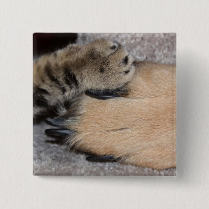 Best Friends Forever by Shirley Taylor 15 Cm Square Badge