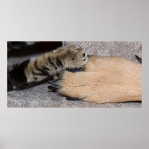 Best Friends Forever by Shirley Taylor Poster