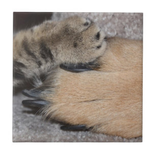 Best Friends Forever by Shirley Taylor Tile