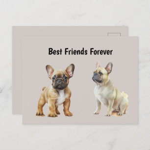 Best Friends Forever Frenchie Dogs Postcard