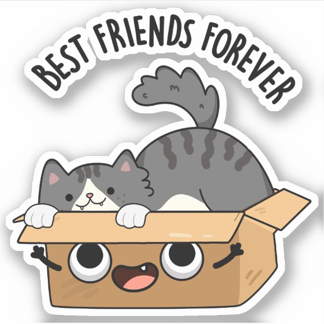 Best Friends Forever Funny Cat And Box Pun  (Front)