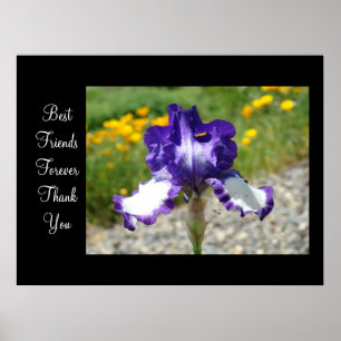 Best Friends Forever Thank You art prints Irises