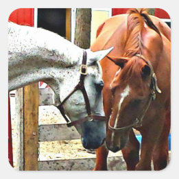 Best Friends Horse Sticker