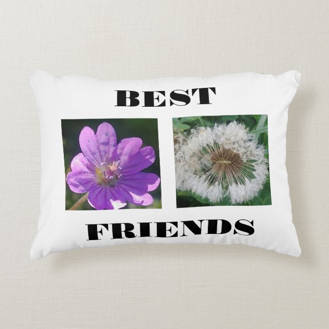 Best Friends Image Template Decorative Cushion (Front)