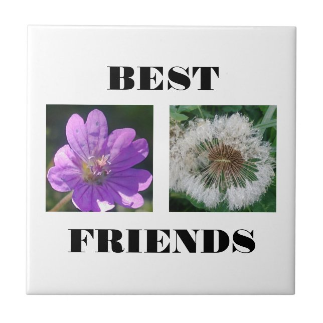 Best Friends Image Template Tile (Front)