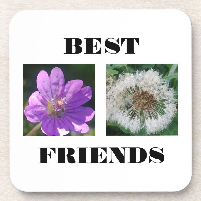 Best Friends Image Template Trivet Coaster (Front)