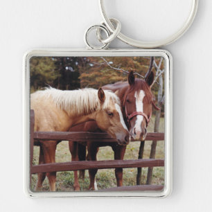 Best Friends Key Ring