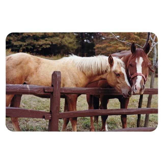 Best Friends Magnet (Horizontal)