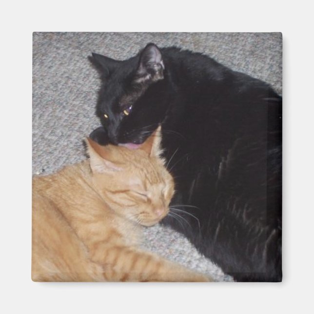 Best Friends Magnet (Front)