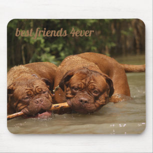 Best Friends Mouse Pad