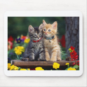 Best Friends Mouse Pad