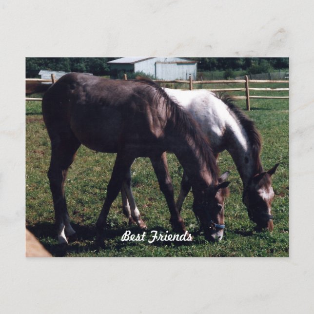 Best Friends Postcard (Front)