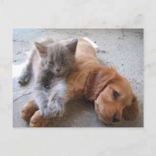 Best Friends Postcard