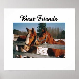 Best Friends Poster