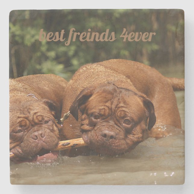 Best Friends Stone Coaster (Front)
