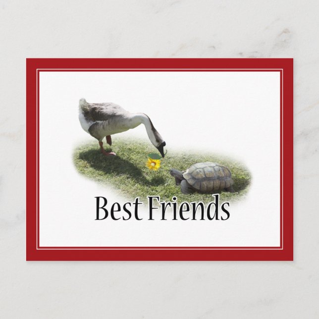 Best Friends - The Turtle & The Goose Postcard (Front)