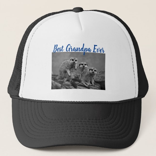 Best Grandpa Ever Photo Gift From Grandkids Blue Trucker Hat (Front)