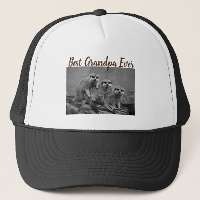 Best Grandpa Ever Photo Gift From Grandkids Brown Trucker Hat (Front)