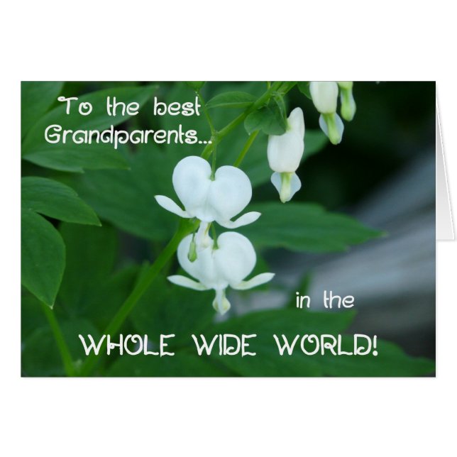 Best Grandparents-Bleeding Hearts in White (Front Horizontal)