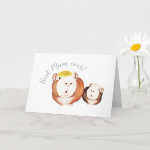 Best Mom Ever! Guinea Pig Mother's Day  Card