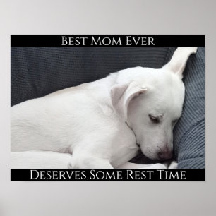 Best Mum Ever Deserves Some Rest Time Cute Dog Poster