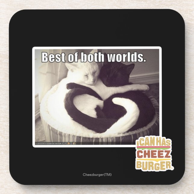 Best of both worlds. coaster (Front)