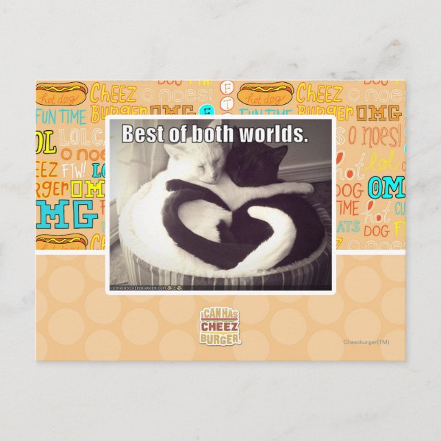 Best of both worlds. postcard (Front)