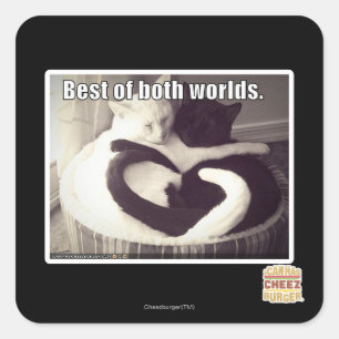 Best of both worlds. square sticker