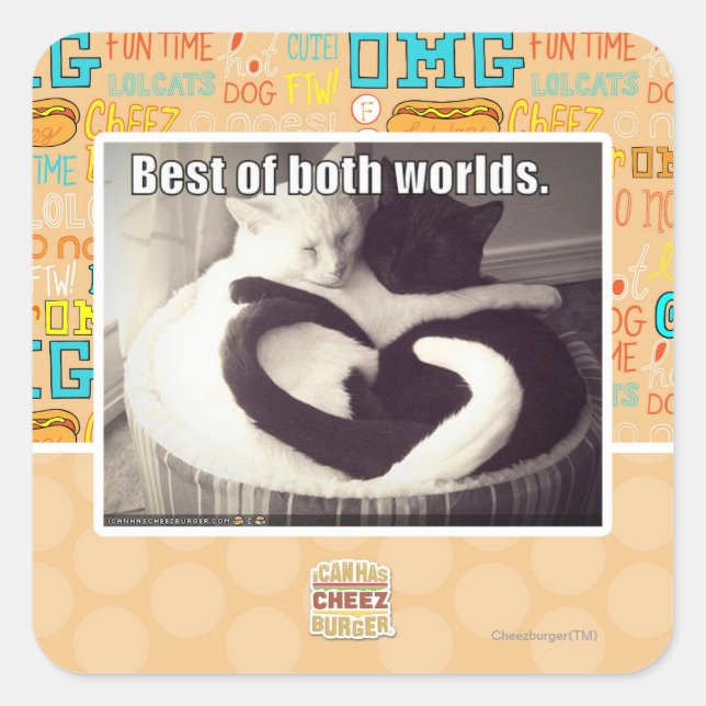 Best of both worlds. square sticker (Front)