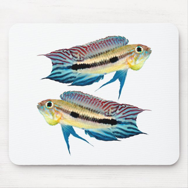 Best-of-Breed "Apistogramma mendezi" Mouse Pad (Front)