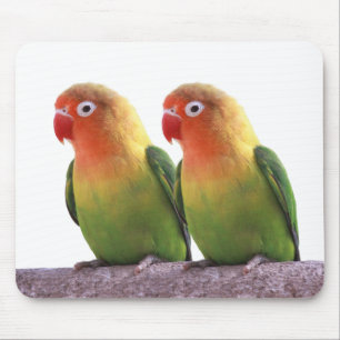 Best-of-Breed "Fischer's Lovebird" Mouse Pad