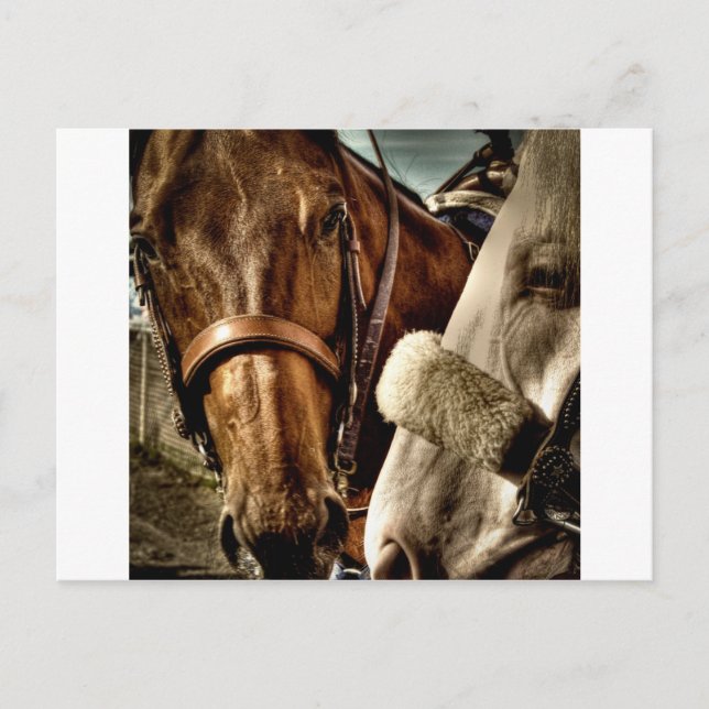 Best of Friends Postcard (Front)