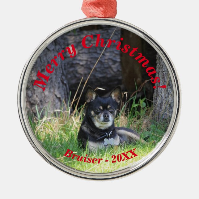 Best Pet Friend Forever Keepsake Gift Metal Tree Decoration (Front)