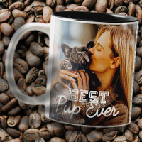Best Pup Ever Modern Cool Stitch Pet Puppy Photo
