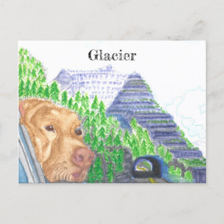 Best Ride Ever Souvenir  Postcard