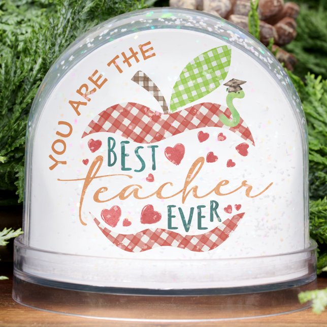 Best Teacher Ever Apple Motifs Appreciation  Snowglobe (Best Teacher Ever Apple Motifs Appreciation Snow Globes rich plaid classic pattern style christmas )