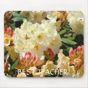 BEST TEACHER Gift Christmas Rhodies Mousepad
