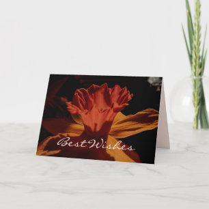 Best Wishes Daffodil Card