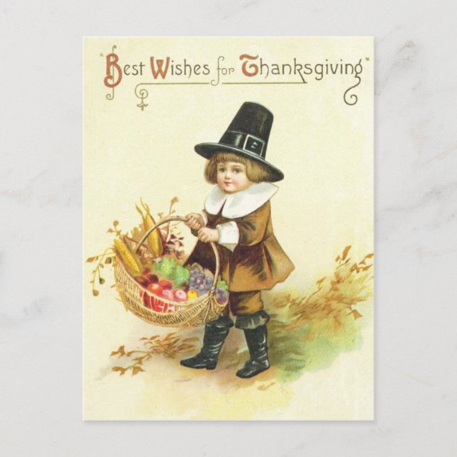 Best Wishes for Thanksgiving Holiday Postcard (Front)