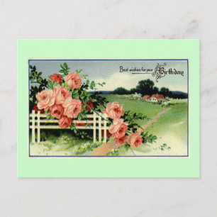 "Best wishes for your Birthday" Vintage Postcard