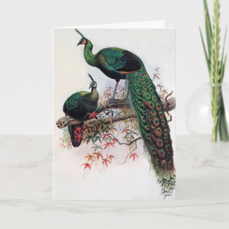 Best wishes, friends, family, Peacock Card