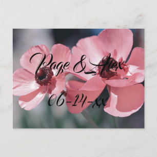 Best Wishes Newly Weds Wedding Destiny's Destiny P Postcard