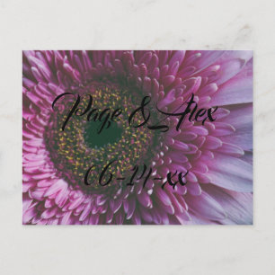 Best Wishes Newly Weds Wedding Destiny's Destiny P Postcard