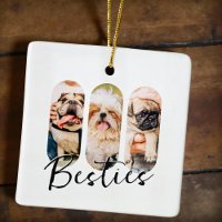 Besties Pet Simple Modern Playful Three Photo