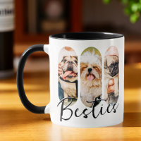 Besties Pet Simple Modern Playful Three Photo