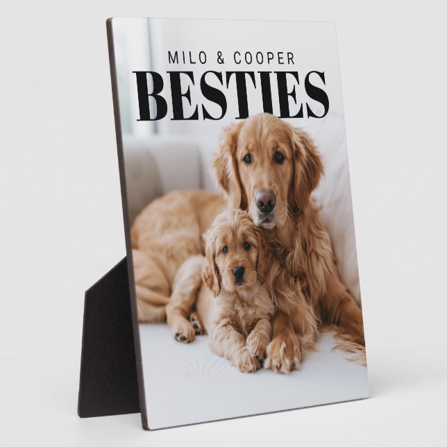 Besties Pets PhotoPop Plaque (Side)