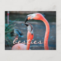 “Besties” quote cute orange pink flamingos photo