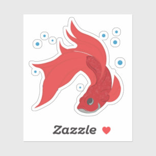 Beta Fish