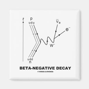 Beta-Negative Decay (Nuclear Physics) Magnet