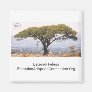 Beteseb Felega Kitchen Magnet